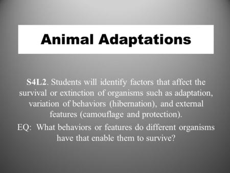 Animal Adaptations S4L2. Students will identify factors that affect the survival or extinction of organisms such as adaptation, variation of behaviors.