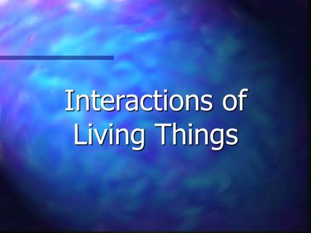 Interactions of Living Things. Environment Living Things Energy Types of Interactions Misc. $100 $200 $300 $400 $500.