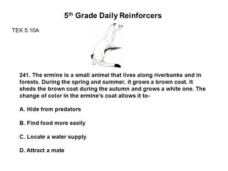 5th Grade Daily Reinforcers