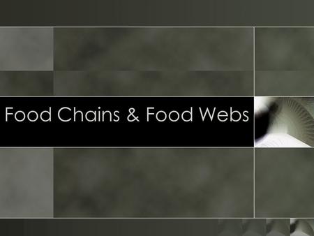 Food Chains & Food Webs. TERMINOLOGY Producer – an organism that makes its own food. Consumer – an organism that eats another organism for food.