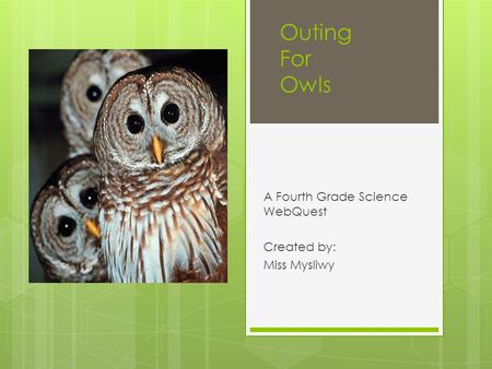 Outing For Owls A Fourth Grade Science WebQuest Created by: Miss Mysliwy.