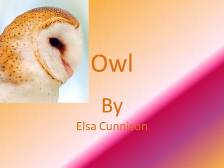 Owl By Elsa Cunnison. An owl is a bird that usually lives alone and hunts for food at night. There are many different kinds of owls throughout the world.