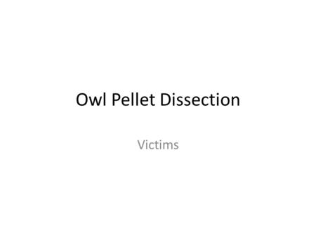 Owl Pellet Dissection Victims. Copy the following slides onto page 9 of your notebook.
