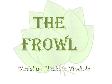 Madeline Elisabeth Vindiola The Frowl. What does it eat ? The Frowl eats a variety of insects, mice, and lizards.