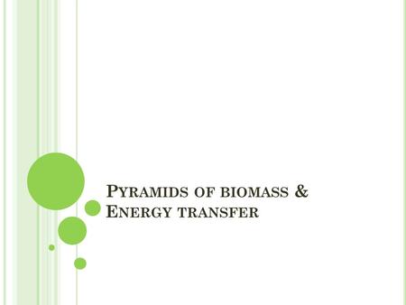 P YRAMIDS OF BIOMASS & E NERGY TRANSFER. P YRAMIDS O F B IOMASS Pyramids of Biomass represent the weight of the organisms whereas Pyramids of Numbers.