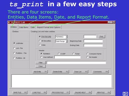 Ts_print in a few easy steps There are four screens: Entities, Data Items, Date, and Report Format.