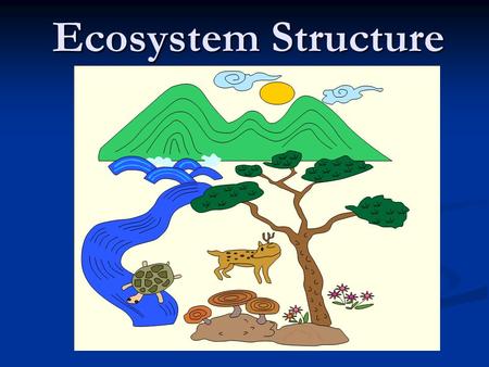 Ecosystem Structure I did not do an IN and OUT for this lesson. Notes are long (2 pages) with lots of discussion. If you would like to do an IN and OUT.