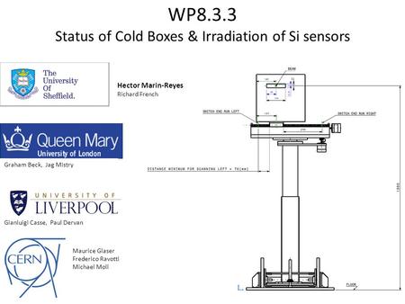 WP8.3.3 Status of Cold Boxes & Irradiation of Si sensors Maurice Glaser Frederico Ravotti Michael Moll Graham Beck, Jag Mistry Gianluigi Casse, Paul Dervan.