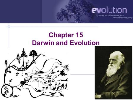 AP Biology 2006-2007 Chapter 15 Darwin and Evolution Darwin: a reluctant rebel.