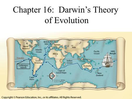 Chapter 16: Darwin’s Theory