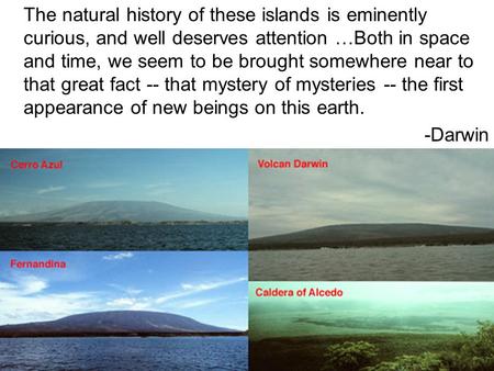 The natural history of these islands is eminently curious, and well deserves attention …Both in space and time, we seem to be brought somewhere near to.