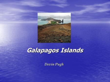 Galapagos Islands Galapagos Islands Devin Pugh. Galapagos Islands Where: Where: –Located over 1000 km from the South American Continent and 600 miles.