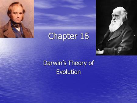 Chapter 16 Darwin’s Theory of Evolution. What is evolution??