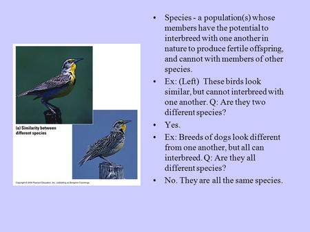 Species - a population(s) whose members have the potential to interbreed with one another in nature to produce fertile offspring, and cannot with members.