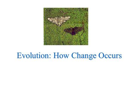Evolution: How Change Occurs. Charles Darwin Proposed formal theory of evolution - change in species over time - modern organisms descend from ancient.