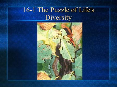 16-1 The Puzzle of Life's Diversity