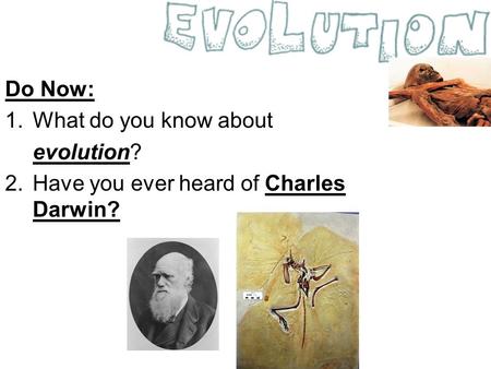 Do Now: 1.What do you know about evolution? 2.Have you ever heard of Charles Darwin?