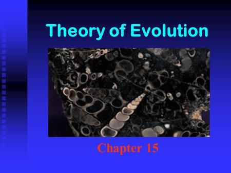 Theory of Evolution Chapter 15. Theory Science = Hypotheses that pass testing. Highest honor in science. Science = Hypotheses that pass testing. Highest.