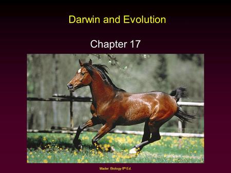 Darwin and Evolution Chapter 17 Mader: Biology 8th Ed.