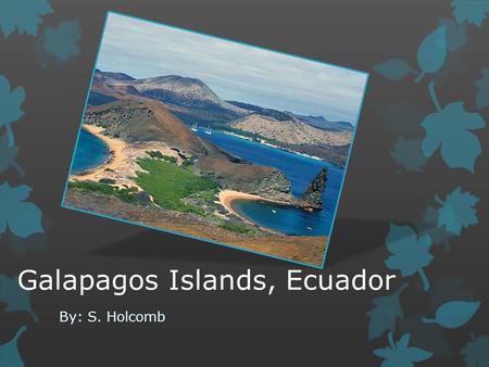 Galapagos Islands, Ecuador By: S. Holcomb. What is it?  Consists of 13 major islands, 5 of which are inhabited  The main reason for tourists and nature.