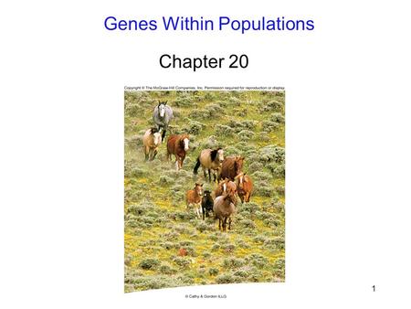 1 Genes Within Populations Chapter 20. 2 Darwin: Evolution is descent with modification. Evolution: changes through time. 1.Species accumulate difference;