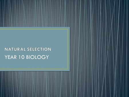 NATURAL SELECTION YEAR 10 BIOLOGY.
