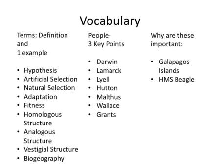 Vocabulary Terms: Definition and 1 example Hypothesis