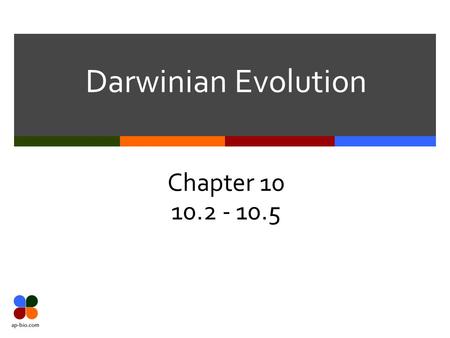 Darwinian Evolution Chapter 10 10.2 - 10.5. Slide 2 of 20 Galapagos Islands  Darwin visited the Galapagos Islands  He formed his ideas about natural.