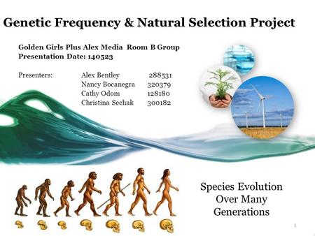 Genetic Frequency & Natural Selection Project Golden Girls Plus Alex Media Room B Group Presentation Date: 140523 Presenters: Alex Bentley 288531 Nancy.