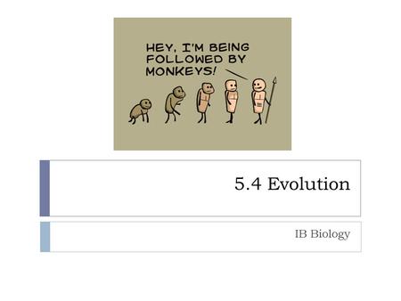 5.4 Evolution IB Biology.