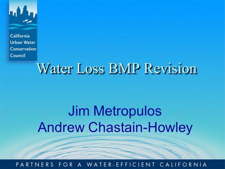 Water Loss BMP Revision Jim Metropulos Andrew Chastain-Howley.