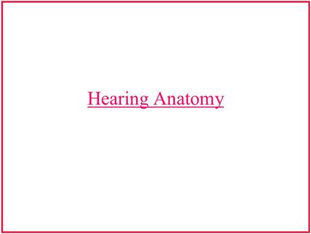 Hearing Anatomy.