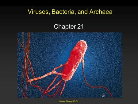 Viruses, Bacteria, and Archaea