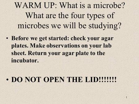 WARM UP: What is a microbe? What are the four types of microbes we will be studying? Before we get started: check your agar plates. Make observations on.