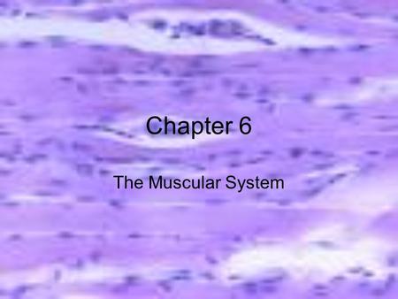 Chapter 6 The Muscular System.