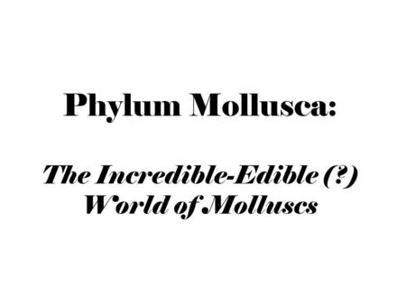 Phylum Mollusca: The Incredible-Edible (?) World of Molluscs.