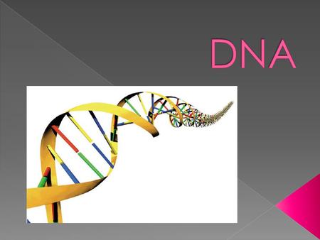  Deoxyribo- nucleic Acid is made up of nucleotides.