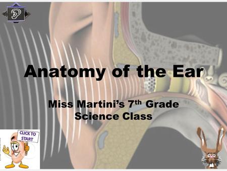 Miss Martini’s 7th Grade Science Class