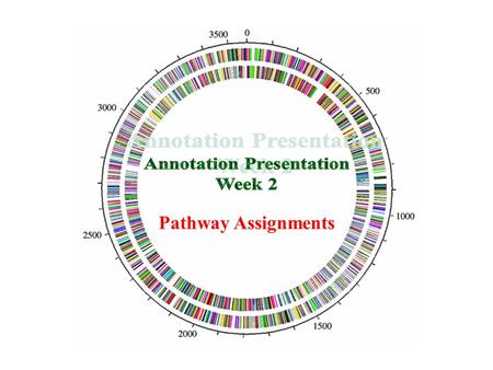 Pathway Assignments. The assignment – Annotating Pathways  KEGG Pathway Database.