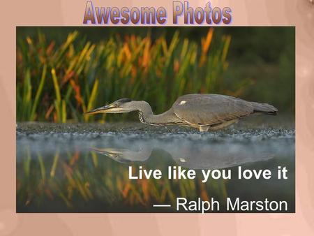 Live like you love it — Ralph Marston Even though it is unpleasant, you can do it if you must.