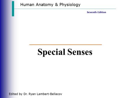 Human Anatomy & Physiology Seventh Edition Edited by Dr. Ryan Lambert-Bellacov Special Senses.
