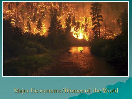 Major Ecosystems/Biomes of the World