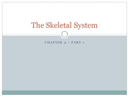 The Skeletal System Chapter 5 – Part 1.