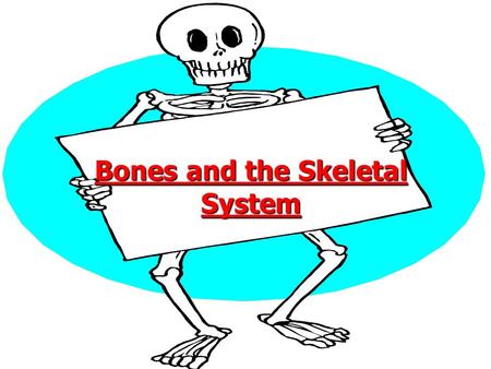 Bones and the Skeletal System. Jobs the skeleton does Look at the pictures and think what does the skeleton do for you??? Look at the pictures and think.