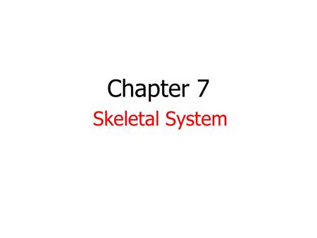 Chapter 7 Skeletal System. HW-None 1. Take out 7.1-7.3 notes. 2. Do not get your models yet!