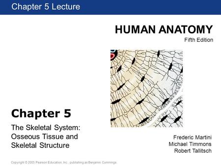 HUMAN ANATOMY Fifth Edition Chapter 1 Lecture Copyright © 2005 Pearson Education, Inc., publishing as Benjamin Cummings Chapter 5 Lecture Frederic Martini.