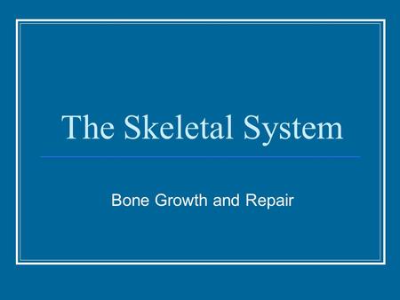 The Skeletal System Bone Growth and Repair. Skeleton Axial and Appendicular Skeletons Sex Differences: Generally, the male skeleton is larger and heavier.