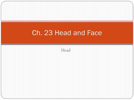 Ch. 23 Head and Face Head.