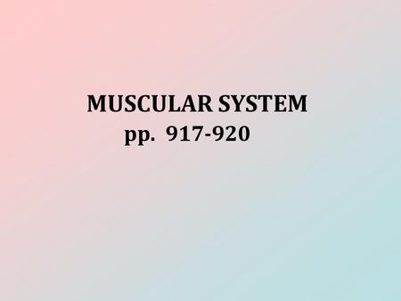 MUSCULAR SYSTEM pp. 917-920. FUNCTION Support, movement, and protection.