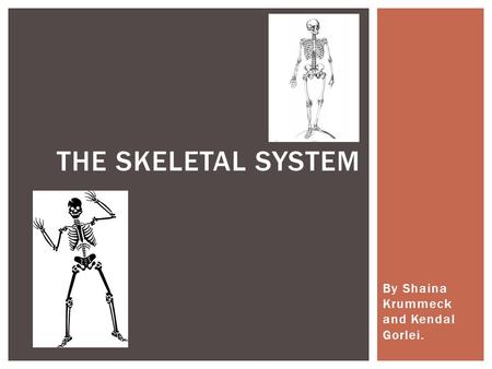 By Shaina Krummeck and Kendal Gorlei. THE SKELETAL SYSTEM.
